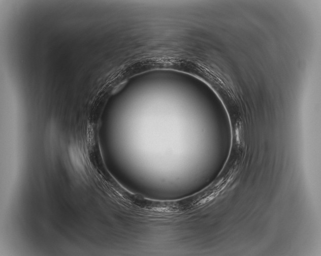 X0000116671347200912141332