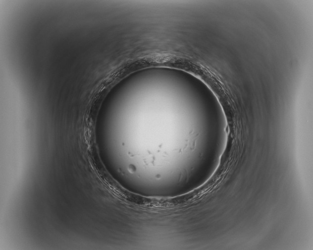 X0000116671349200912141332