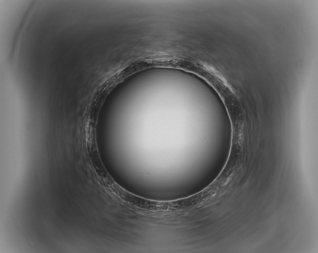 X0000116671350200912141332