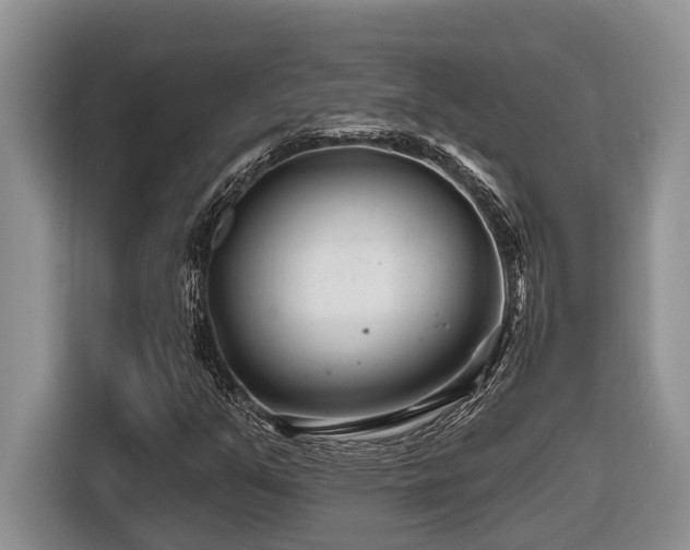 X0000116671351200912141332