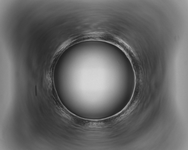 X0000116671354200912141332