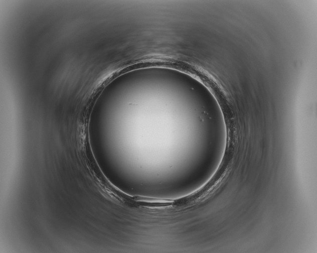 X0000116671355200912141332