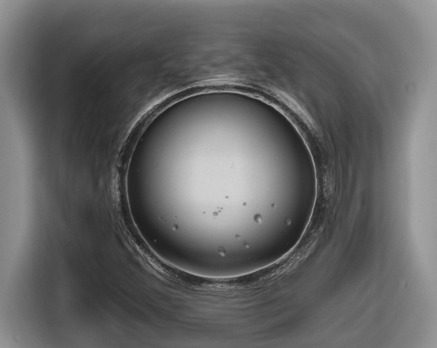 X0000116671356200912141332