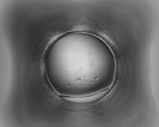 X0000116671358200912141332