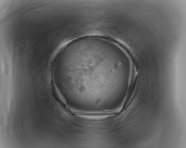 X0000116671359200912141332