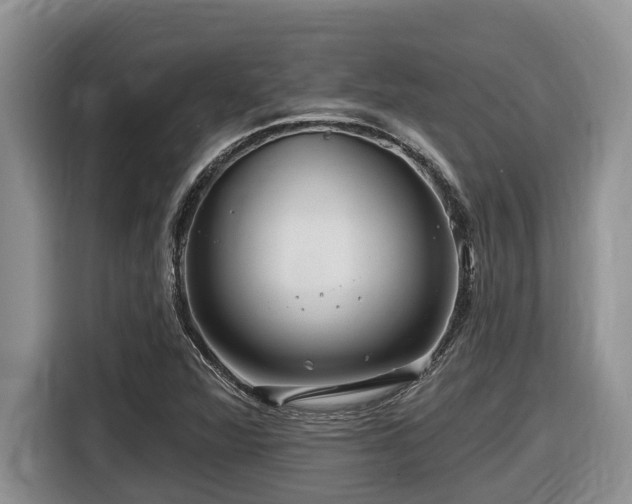 X0000116671360200912141332