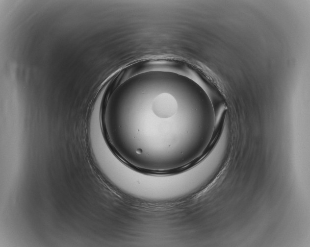 X0000116671361200912141332