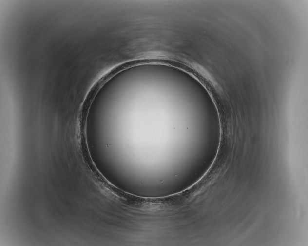 X0000116671364200912141332