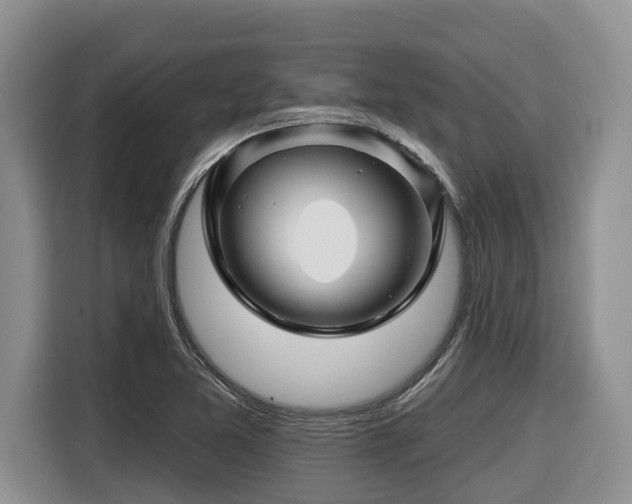 X0000116671365200912141332