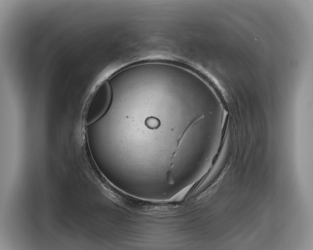 X0000116671367200912141332