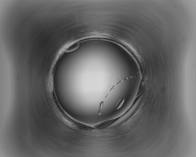 X0000116671371200912141332