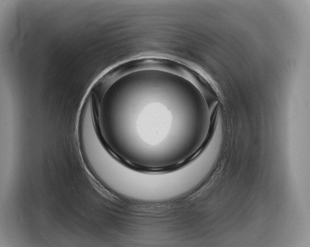 X0000116671372200912141332