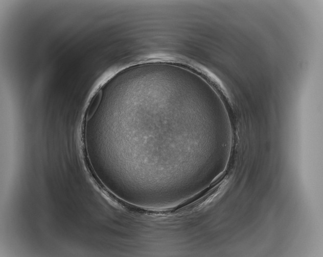 X0000116671373200912141332