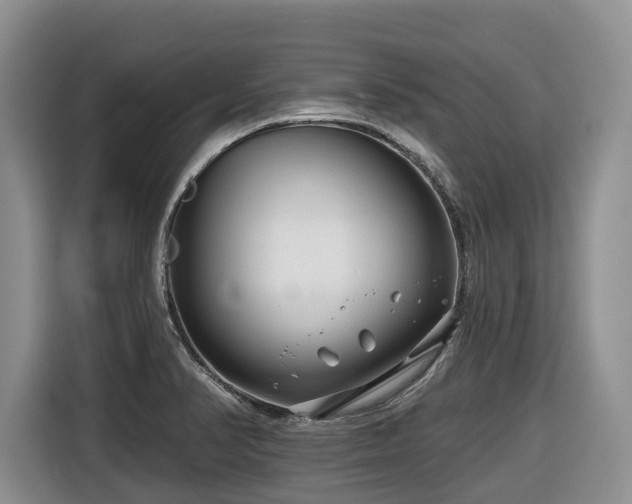 X0000116671374200912141332