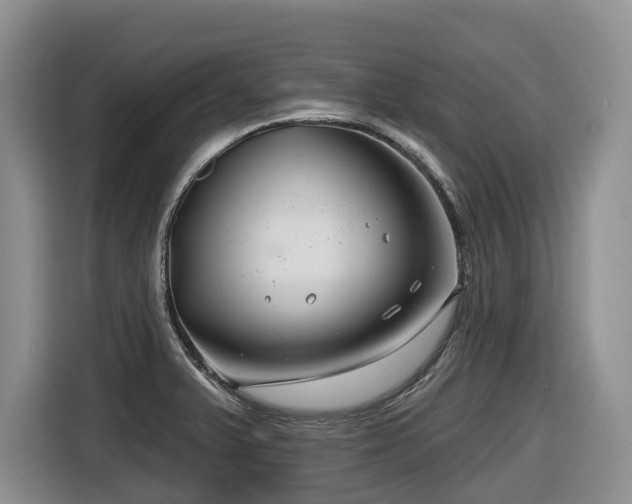 X0000116671375200912141332