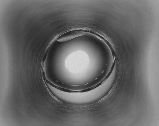 X0000116671377200912141332