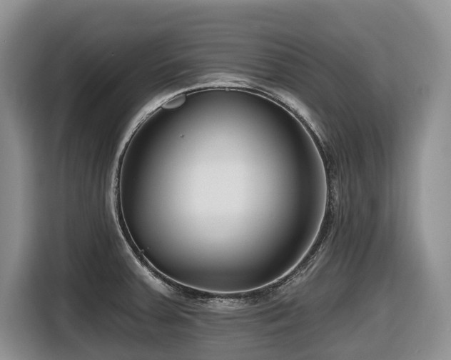 X0000116671379200912141332