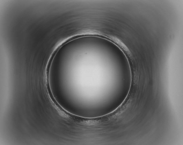 X0000116671380200912141332