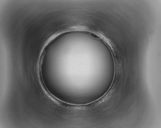 X0000116671381200912141332