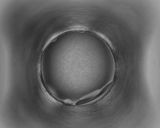 X0000116671383200912141332