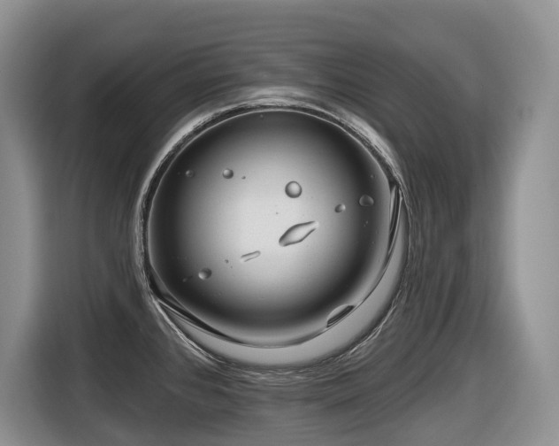 X0000116671384200912141332