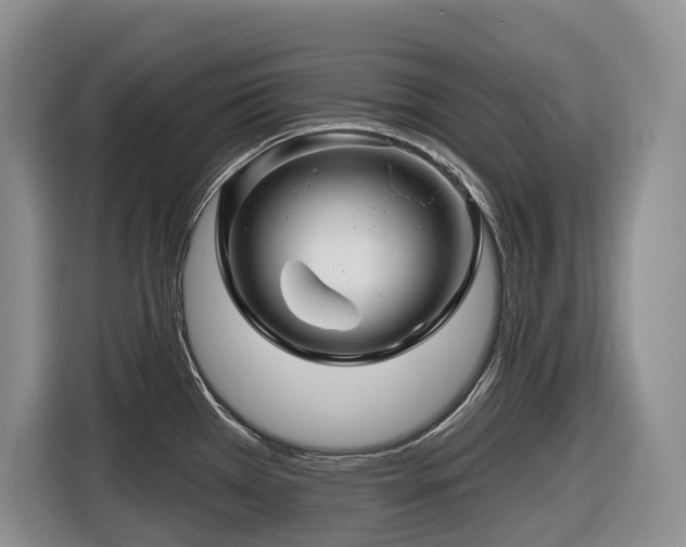 X0000116671385200912141332