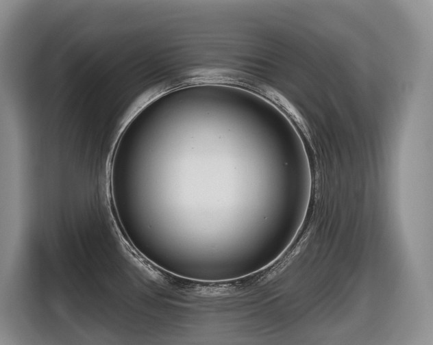 X0000116671386200912141332