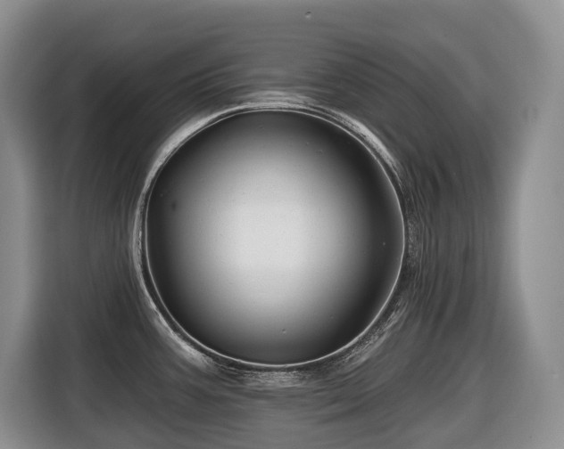 X0000116671387200912141332