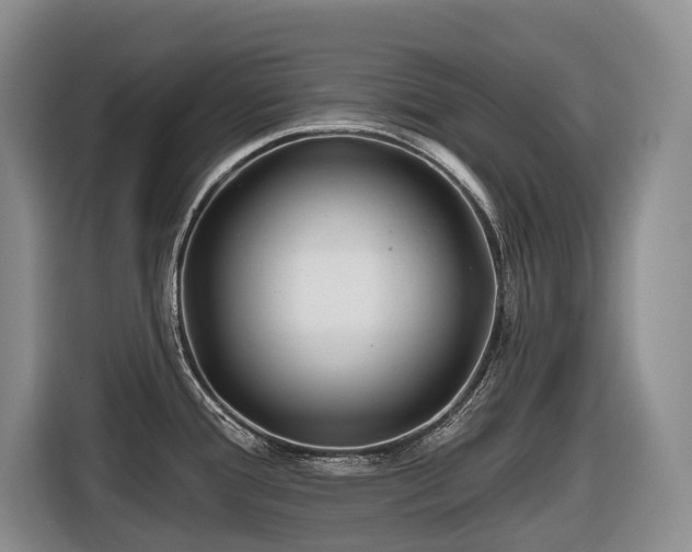 X0000116671388200912141332