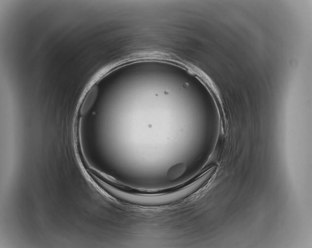 X0000116671389200912141332