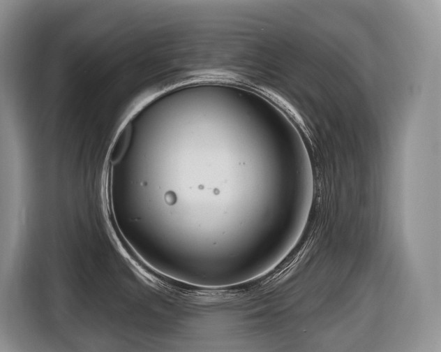 X0000116671391200912141332