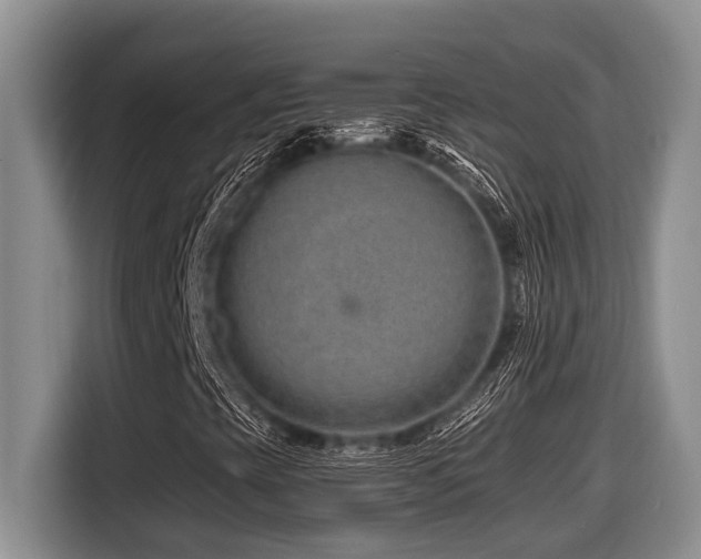 X0000116671393200912141331