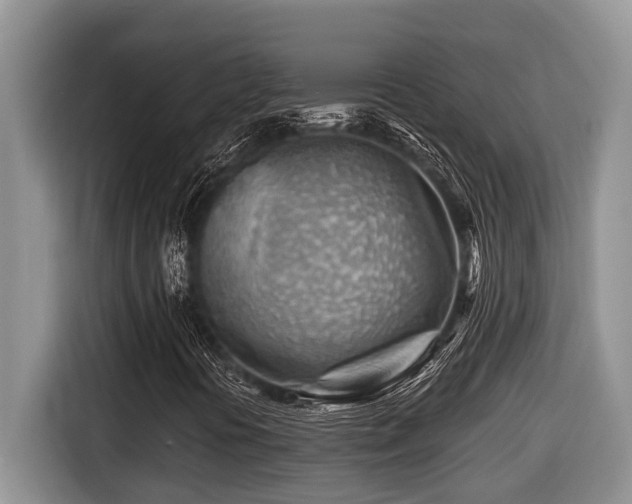 X0000116671394200912141331