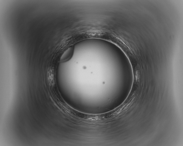X0000116671396200912141331