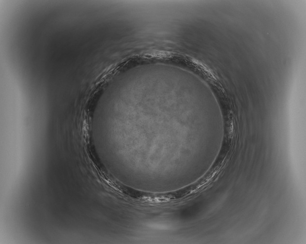 X0000116671397200912141331