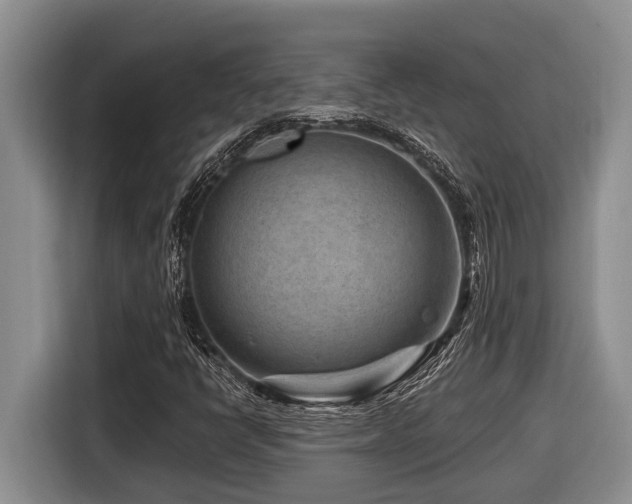 X0000116671398200912141331