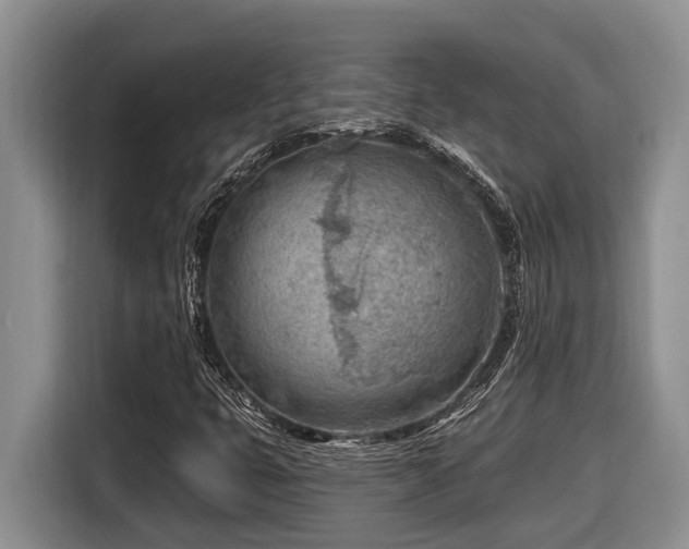 X0000116671399200912141331
