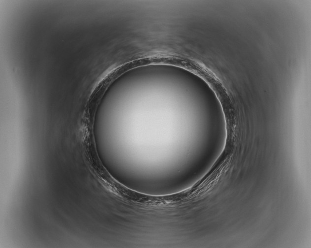 X0000116671400200912141331