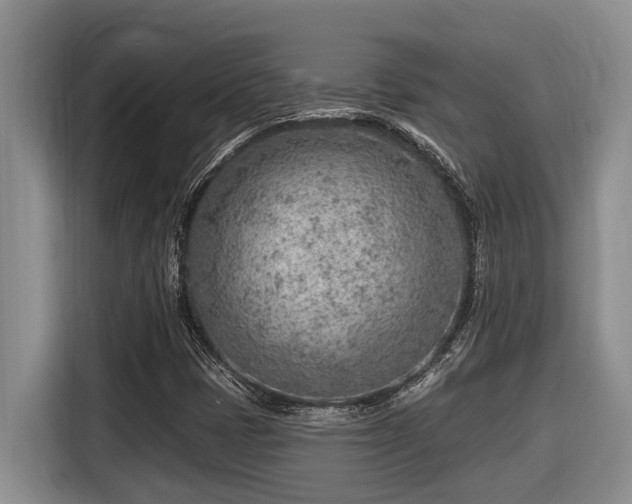 X0000116671401200912141331