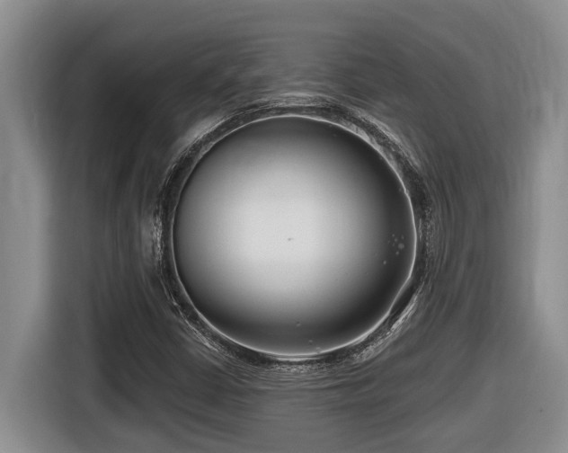 X0000116671402200912141331