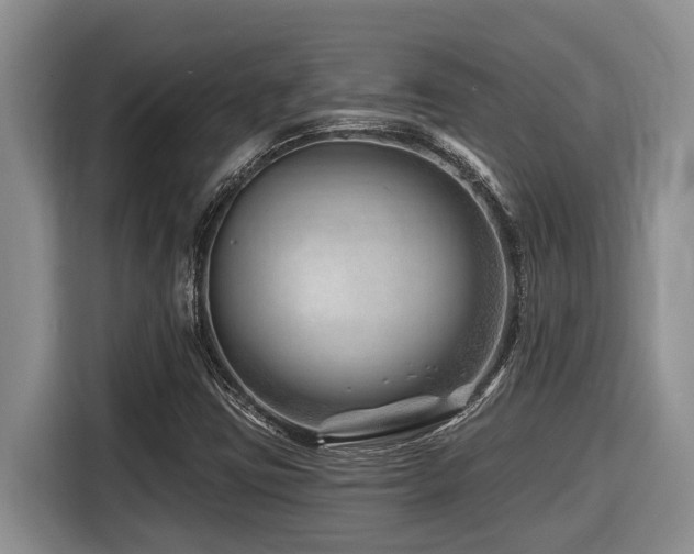 X0000116671403200912141331