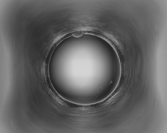 X0000116671404200912141331