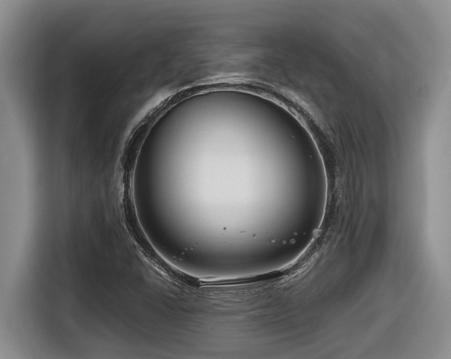 X0000116671406200912141331