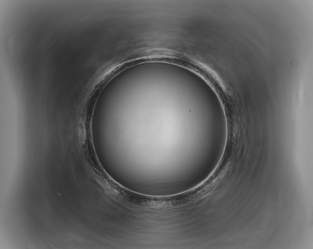X0000116671407200912141331