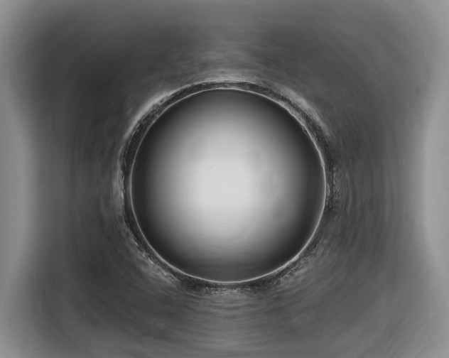 X0000116671408200912141331