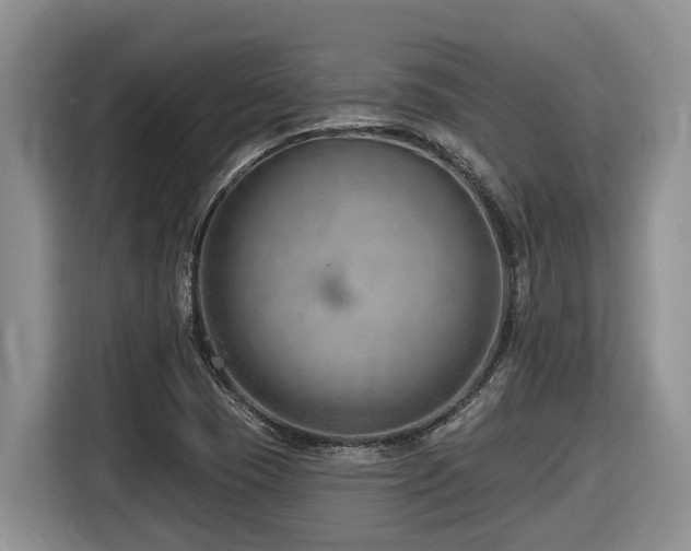 X0000116671409200912141331