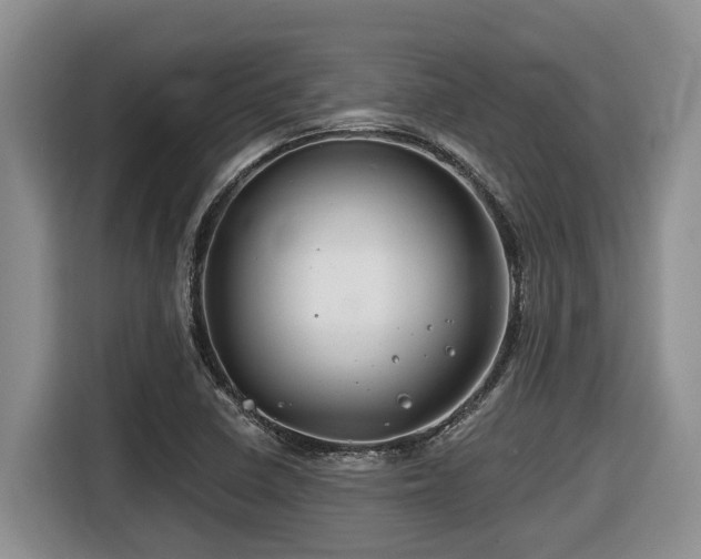 X0000116671410200912141331