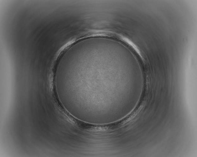 X0000116671411200912141331