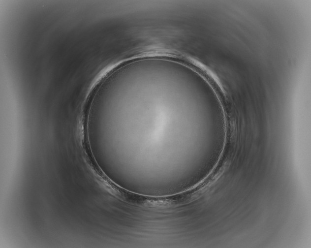 X0000116671415200912141331