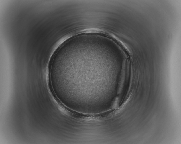 X0000116671418200912141331